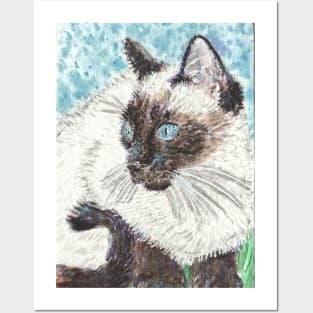 Cute  Siamese cat Posters and Art